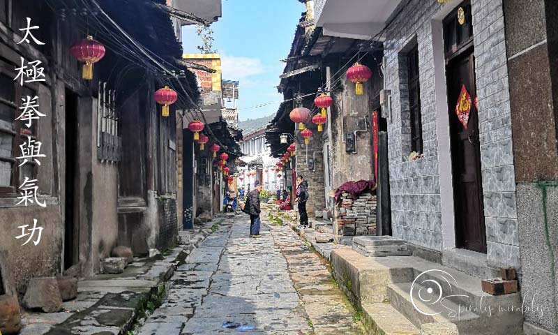 Spiralis Mirabilis - Rivista dedicata alle arti marziali cinesi e alla cultura tradizionale cinese con focus su Tai Chi QiGong e DaoYin