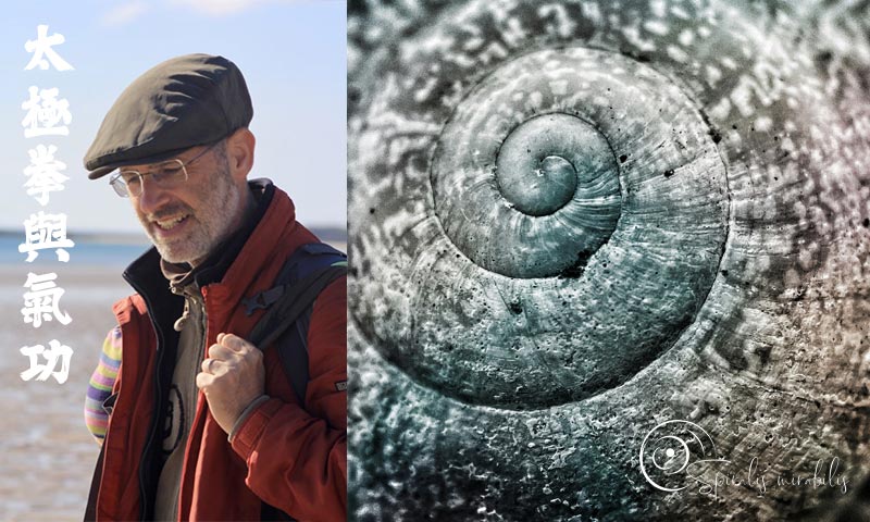 Spiralis Mirabilis - Rivista dedicata alle arti marziali cinesi e alla cultura tradizionale cinese con focus su Tai Chi QiGong e DaoYin