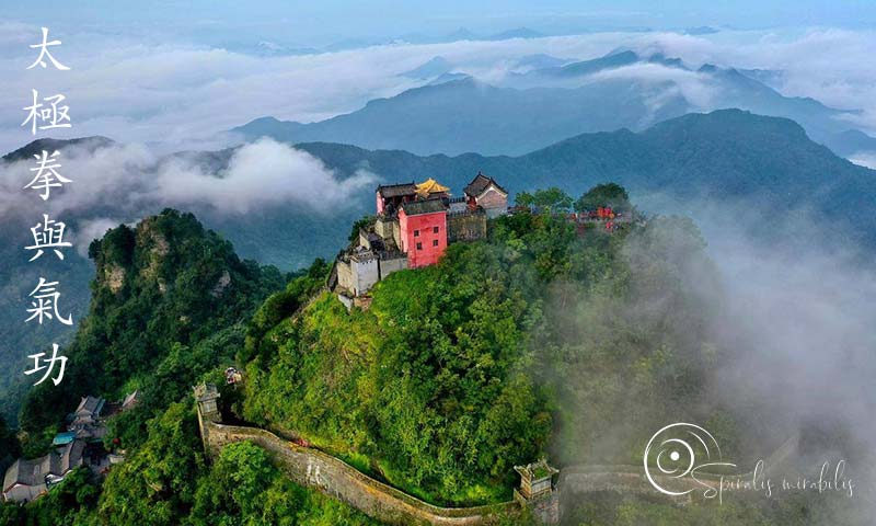 Spiralis Mirabilis - Rivista dedicata alle arti marziali cinesi e alla cultura tradizionale cinese con focus su Tai Chi QiGong e DaoYin